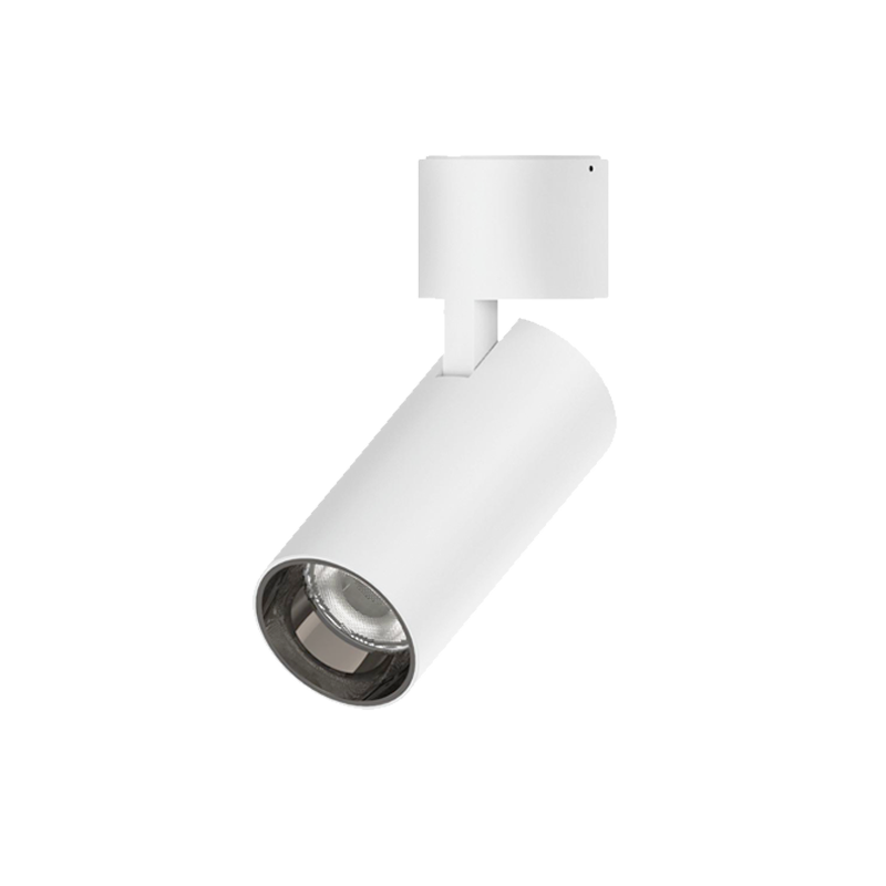 LED nadgradna 20W Philips bijela SML-20W-WW-WH