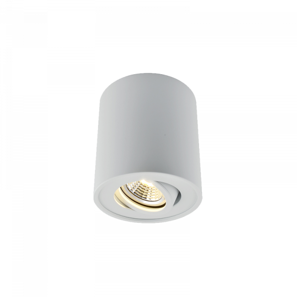 Nadgradni downlight bijela boja GU10 T155M-WH