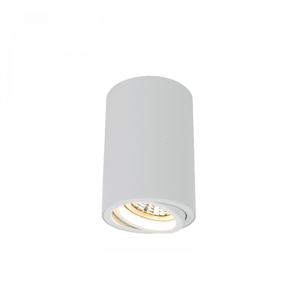 Nadgradni downlight bijela boja GU10 T156M-WH